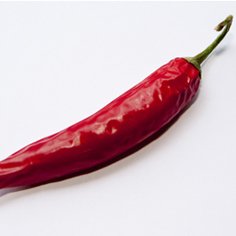 Rode peper is een groente boordevol gezonde stoffen