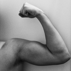 Biceps – 6 redenen waarom grote biceps belangrijk zijn