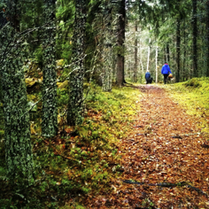 Blijf gezond tijdens de herfst