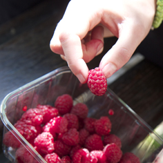 Gezond snacken: het kan! Maar hoe?